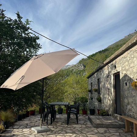 Nature Escape Montenegro Kotor Eksteriør bilde