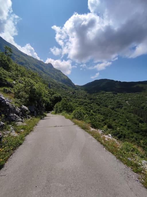 Nature Escape Montenegro Kotor Eksteriør bilde