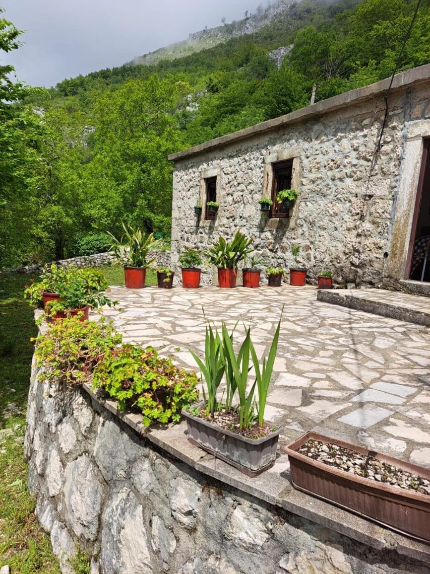 Nature Escape Montenegro Kotor Eksteriør bilde