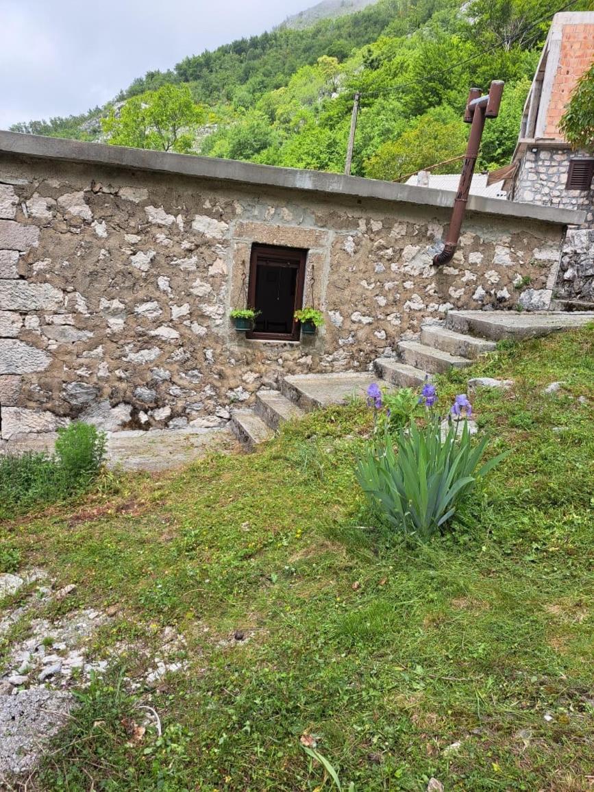 Nature Escape Montenegro Kotor Eksteriør bilde