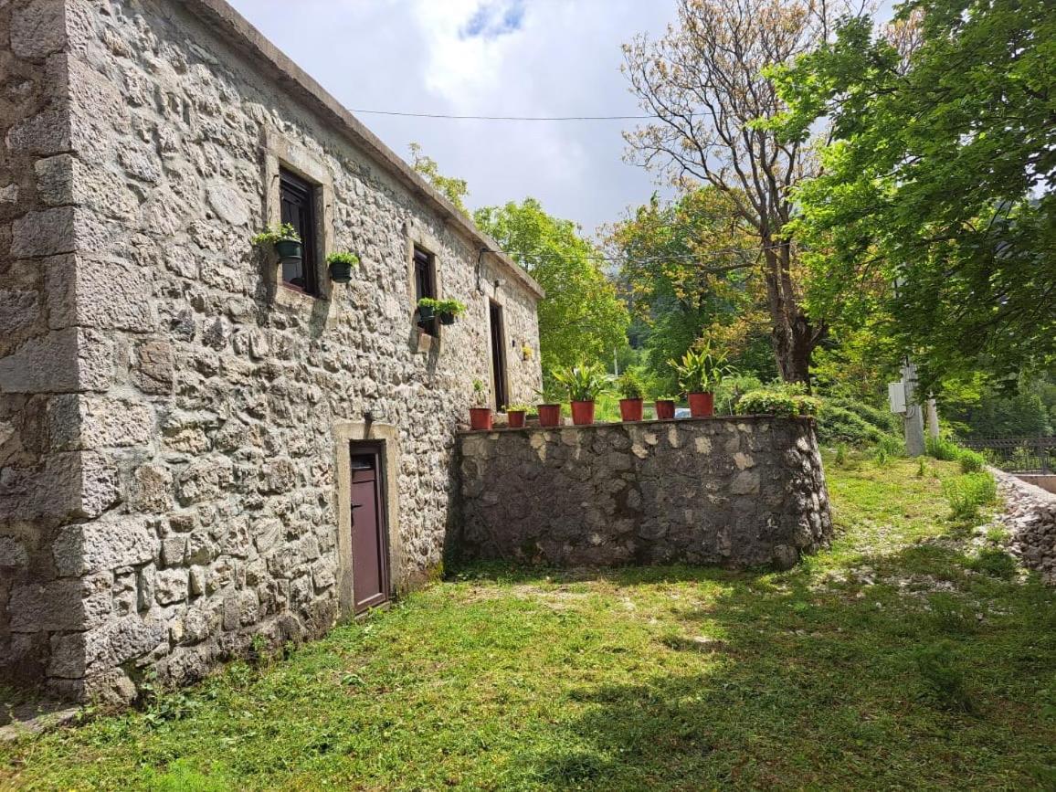Nature Escape Montenegro Kotor Eksteriør bilde
