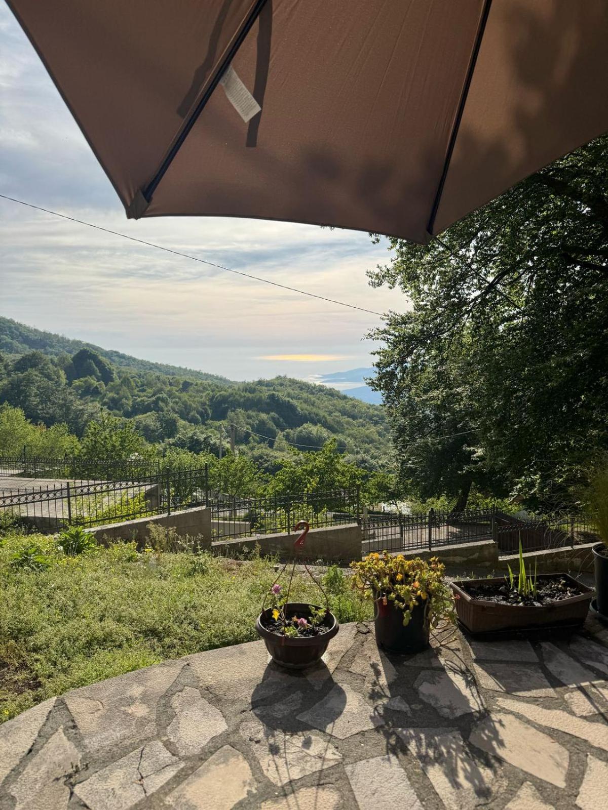 Nature Escape Montenegro Kotor Eksteriør bilde