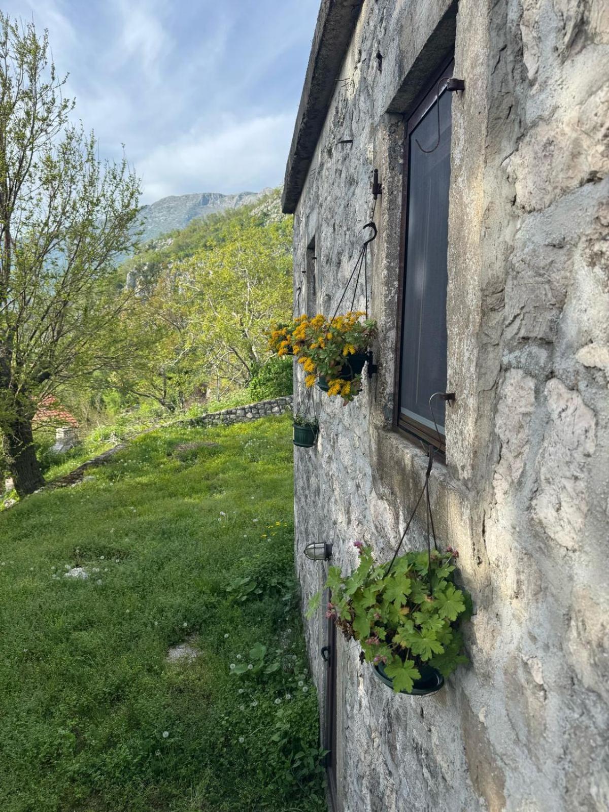 Nature Escape Montenegro Kotor Eksteriør bilde